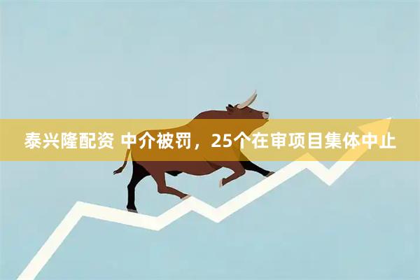 泰兴隆配资 中介被罚，25个在审项目集体中止
