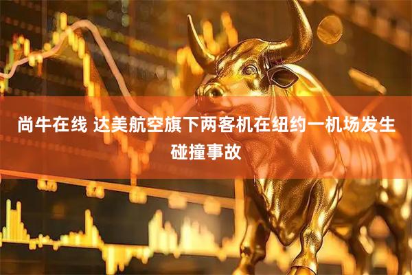 尚牛在线 达美航空旗下两客机在纽约一机场发生碰撞事故