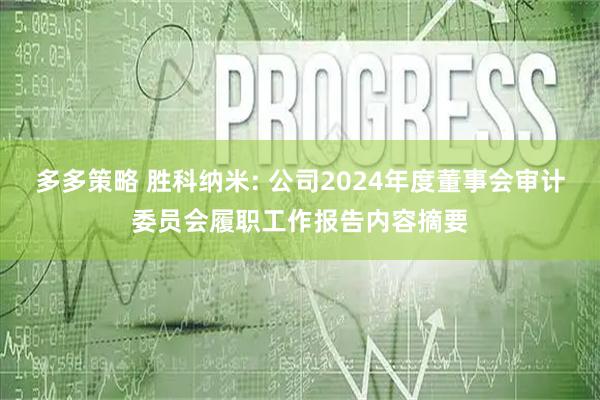 多多策略 胜科纳米: 公司2024年度董事会审计委员会履职工作报告内容摘要
