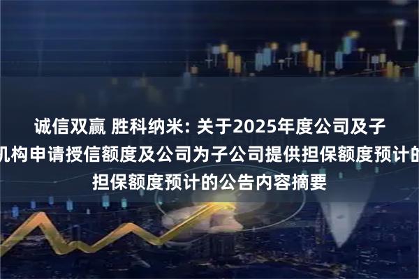 诚信双赢 胜科纳米: 关于2025年度公司及子公司拟向金融机构申请授信额度及公司为子公司提供担保额度预计的公告内容摘要