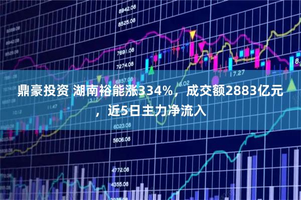 鼎豪投资 湖南裕能涨334%，成交额2883亿元，近5日主力净流入